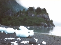 alaska 14