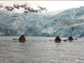 alaska 16