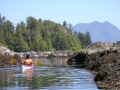 clayoquot 1
