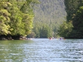 nootka 1
