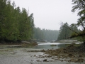 clayoquot 4