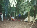 belize 10