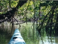 everglades 01