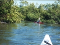 everglades 02