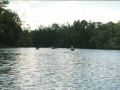 everglades 03