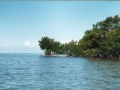 everglades 05