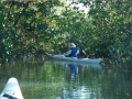 everglades 07