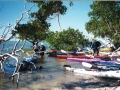 everglades 09
