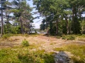 Lovesick Lake 12