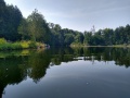 Lovesick Lake 5