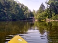 Lovesick Lake 6