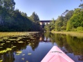Otter Lake 1