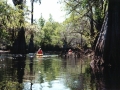 suwannee01