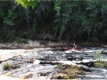 suwannee02