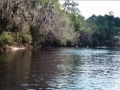 suwannee04