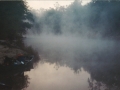 suwannee05