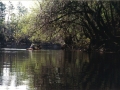 suwannee06