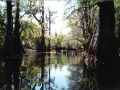 suwannee07