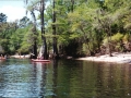suwannee08