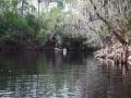 suwannee10