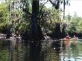 suwannee11