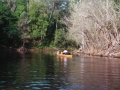 suwannee12