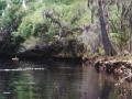 suwannee14