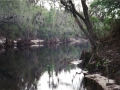 suwannee15