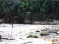 suwannee16