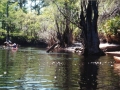 suwannee17