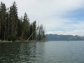 yellowstone03