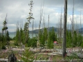 yellowstone11