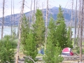 yellowstone12