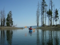 yellowstone14