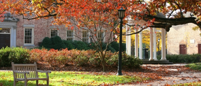 A park bench on a paved path in autumn with a huge tree overhead that has beautiful red orange leaves that have fallen to the ground and a college building in the background